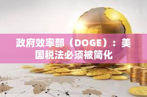 政府效率部（DOGE）：美國稅法必須被簡化