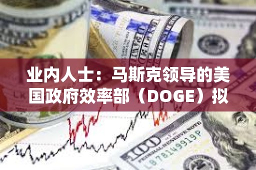 業內人士：馬斯克領導的美國政府效率部（DOGE）擬探索建設區塊鏈選舉系統“eVote”