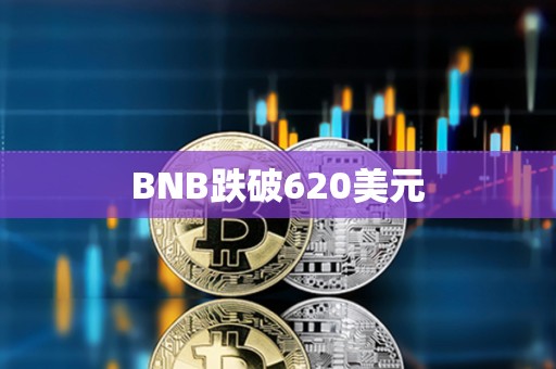 BNB跌破620美元