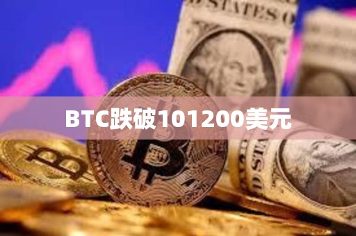 BTC跌破101200美元