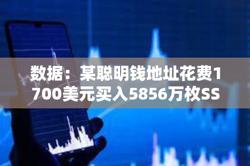 數據：某聰明錢地址花費1700美元買入5856萬枚SSE，現浮盈242萬美元