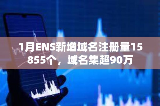1月ENS新增域名注冊量15855個，域名集超90萬