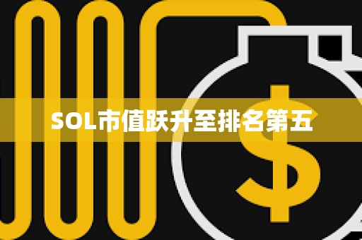 SOL市值躍升至排名第五