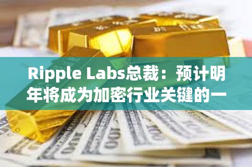Ripple Labs總裁：預(yù)計(jì)明年將成為加密行業(yè)關(guān)鍵的一年
