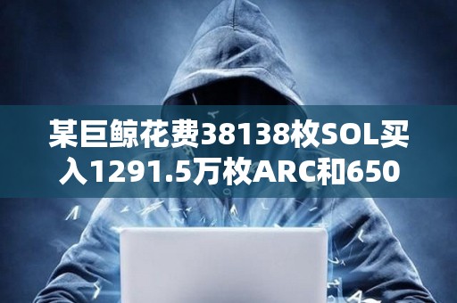 某巨鯨花費(fèi)38138枚SOL買入1291.5萬(wàn)枚ARC和650萬(wàn)枚ai16z