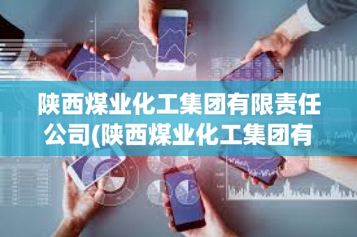 陜西煤業(yè)化工集團(tuán)有限責(zé)任公司(陜西煤業(yè)化工集團(tuán)有限責(zé)任公司董事長(zhǎng))