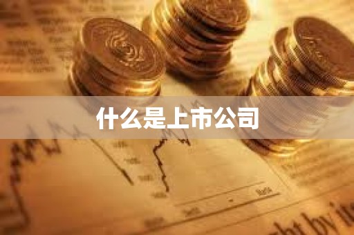 什么是上市公司