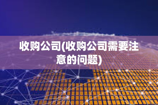 收購公司(收購公司需要注意的問題)