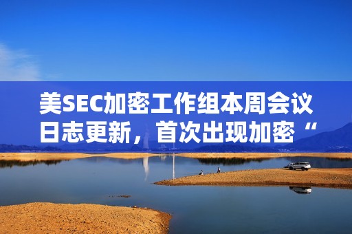 美SEC加密工作組本周會議日志更新，首次出現加密“批評者”參與