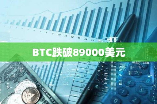BTC跌破89000美元