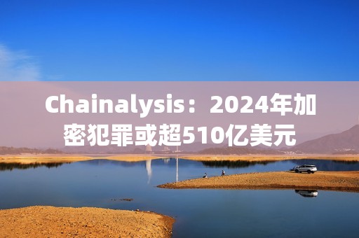 Chainalysis：2024年加密犯罪或超510億美元