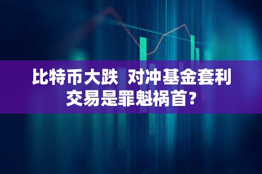 比特幣大跌  對沖基金套利交易是罪魁禍首？