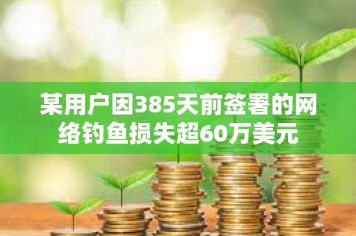 某用戶因385天前簽署的網絡釣魚損失超60萬美元