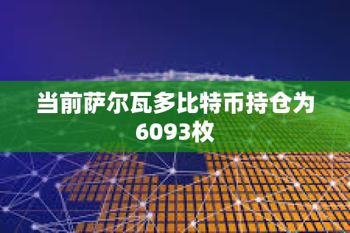 當前薩爾瓦多比特幣持倉為6093枚