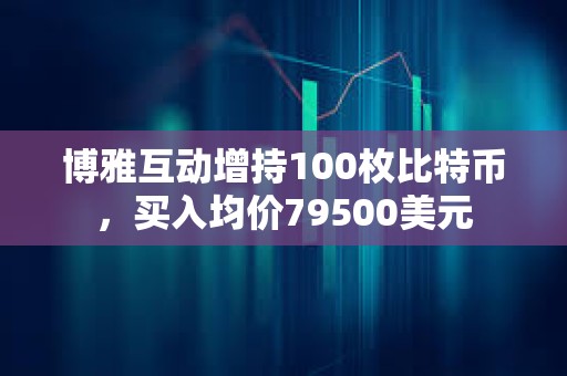 博雅互動增持100枚比特幣，買入均價79500美元