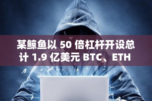 某鯨魚以 50 倍杠桿開設(shè)總計(jì) 1.9 億美元 BTC、ETH 多頭頭寸