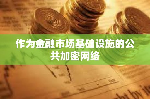 作為金融市場基礎(chǔ)設(shè)施的公共加密網(wǎng)絡(luò)