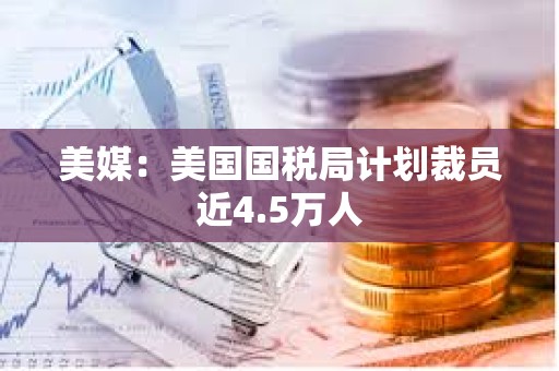 美媒：美國國稅局計劃裁員近4.5萬人
