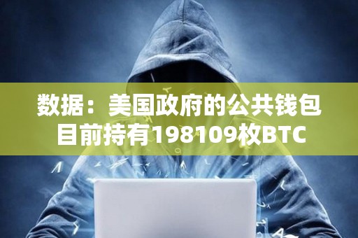 數據：美國政府的公共錢包目前持有198109枚BTC