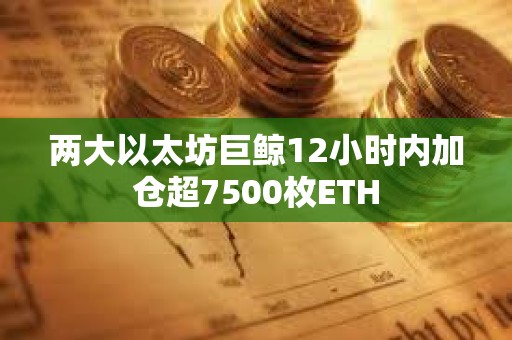 兩大以太坊巨鯨12小時內加倉超7500枚ETH