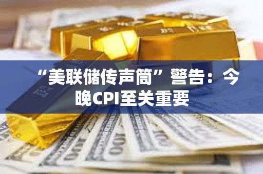 “美聯(lián)儲傳聲筒”警告：今晚CPI至關(guān)重要