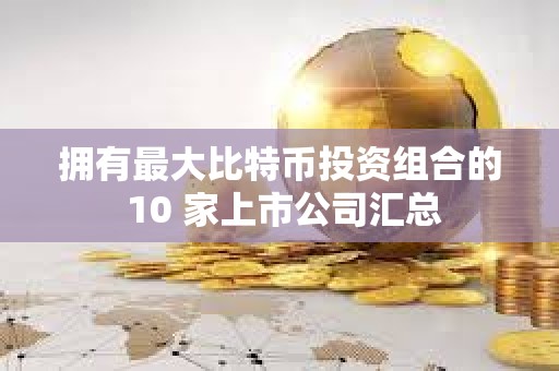 擁有最大比特幣投資組合的 10 家上市公司匯總