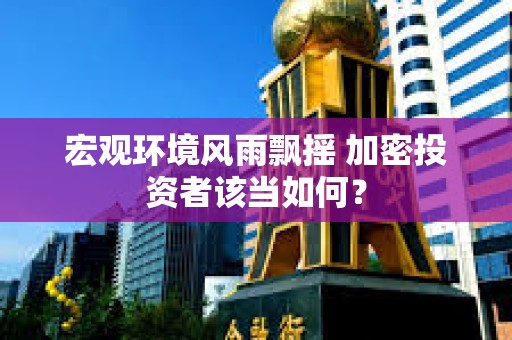 宏觀環境風雨飄搖 加密投資者該當如何？
