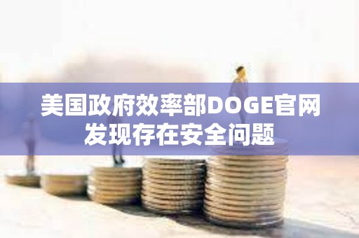 美國(guó)政府效率部DOGE官網(wǎng)發(fā)現(xiàn)存在安全問(wèn)題