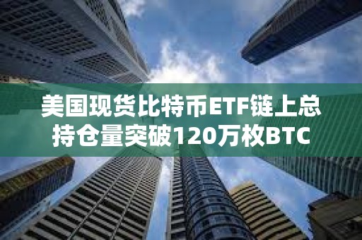 美國現貨比特幣ETF鏈上總持倉量突破120萬枚BTC