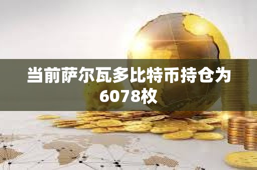 當前薩爾瓦多比特幣持倉為6078枚