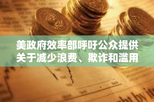 美政府效率部呼吁公眾提供關于減少浪費、欺詐和濫用的想法