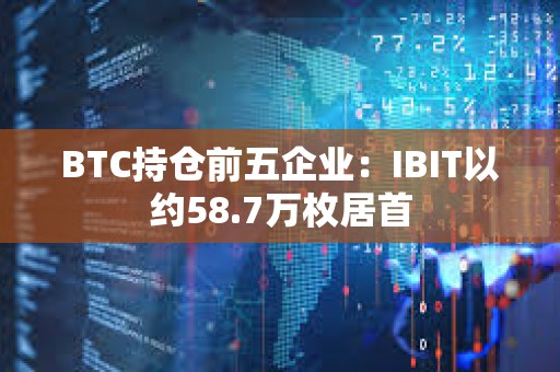 BTC持倉前五企業：IBIT以約58.7萬枚居首