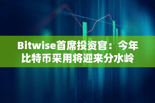 Bitwise首席投資官：今年比特幣采用將迎來分水嶺