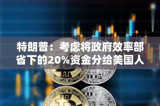 特朗普：考慮將政府效率部省下的20%資金分給美國人