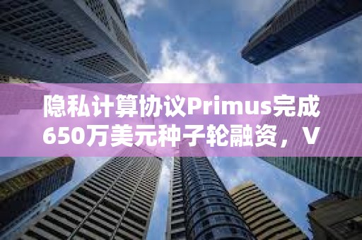 隱私計算協議Primus完成650萬美元種子輪融資，VanEck等機構領投