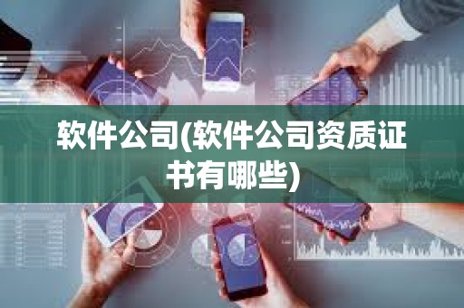 軟件公司(軟件公司資質證書有哪些)