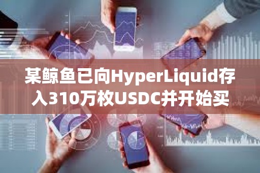 某鯨魚已向HyperLiquid存入310萬枚USDC并開始買入HYPE