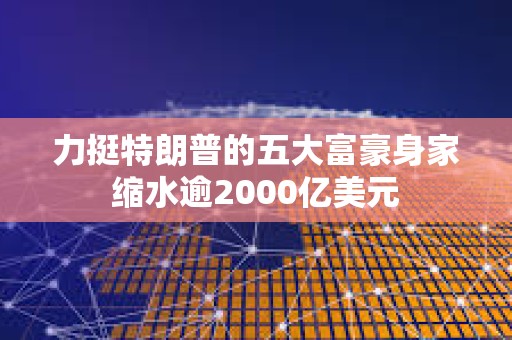 力挺特朗普的五大富豪身家縮水逾2000億美元