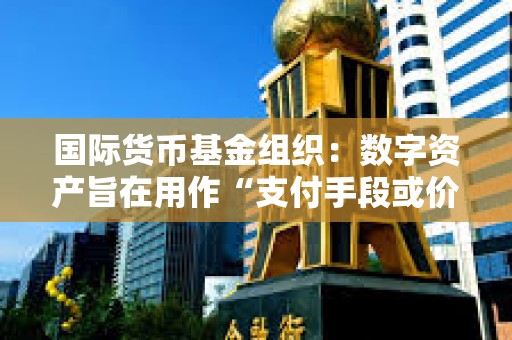 國際貨幣基金組織：數字資產旨在用作“支付手段或價值儲存手段”