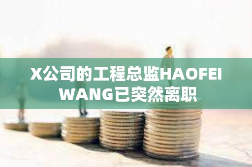 X公司的工程總監HAOFEI WANG已突然離職