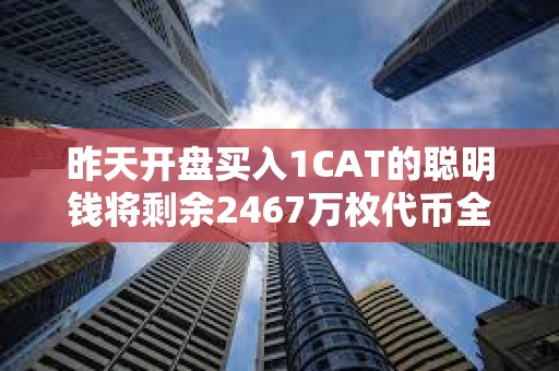 昨天開盤買入1CAT的聰明錢將剩余2467萬枚代幣全部質押