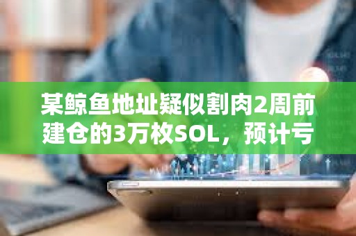 某鯨魚地址疑似割肉2周前建倉的3萬枚SOL，預計虧損45.6萬美元
