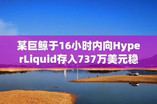 某巨鯨于16小時(shí)內(nèi)向HyperLiquid存入737萬美元穩(wěn)定幣并增持40萬枚HYPE