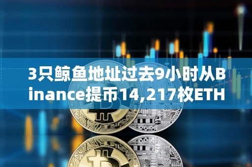 3只鯨魚地址過去9小時從Binance提幣14,217枚ETH，或正通過Aave做多ETH