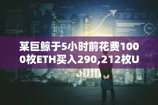 某巨鯨于5小時前花費1000枚ETH買入290,212枚UNI