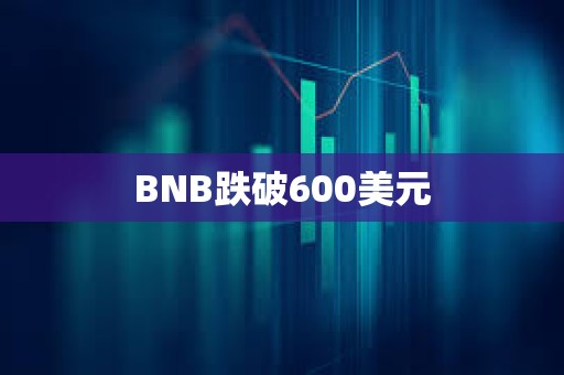 BNB跌破600美元