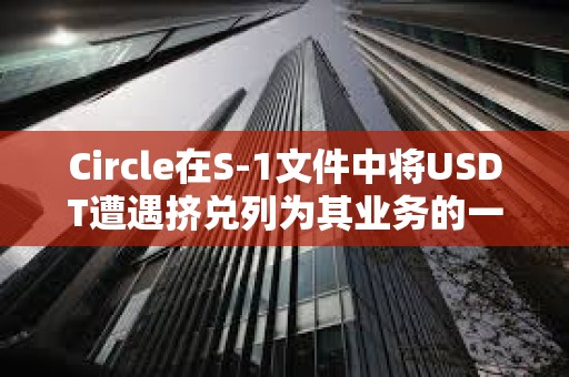 Circle在S-1文件中將USDT遭遇擠兌列為其業務的一項風險