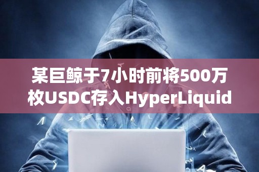 某巨鯨于7小時前將500萬枚USDC存入HyperLiquid以增持HYPE