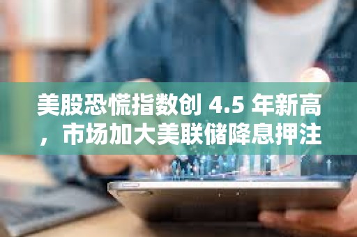 美股恐慌指數創 4.5 年新高，市場加大美聯儲降息押注