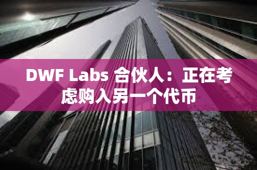 DWF Labs 合伙人：正在考慮購入另一個代幣